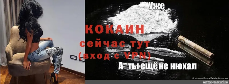 Cocaine Перу  Кохма 